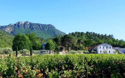 Le domaine de l’Escarelle en vélo électrique