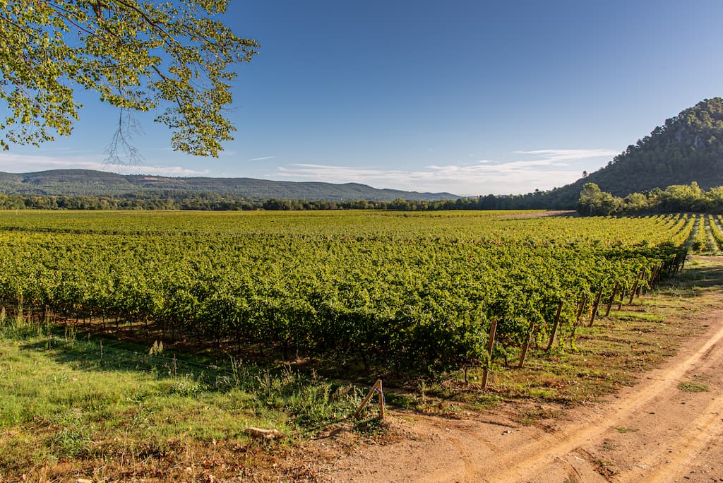 domaine du château de l'Escarelle
